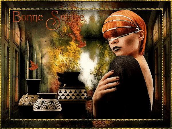 a painting of a woman with the words bonne soirée written on it