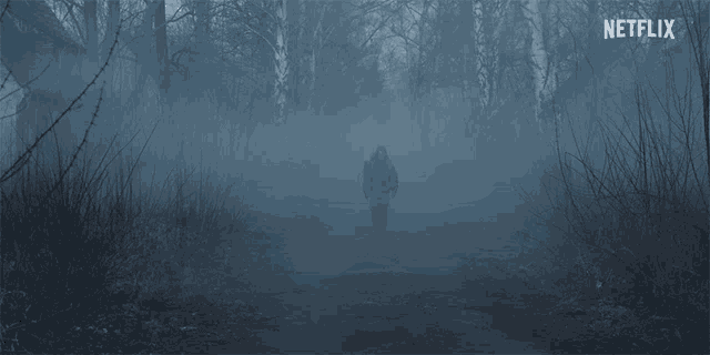 a person is walking through a foggy forest with a netflix logo in the background