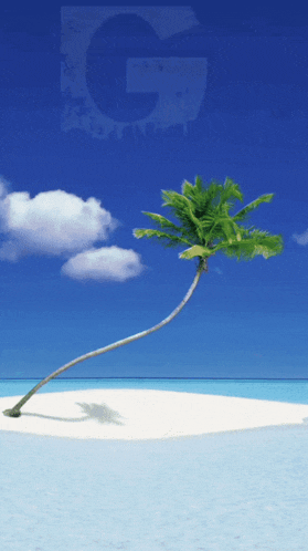 a palm tree is on a small island in the ocean