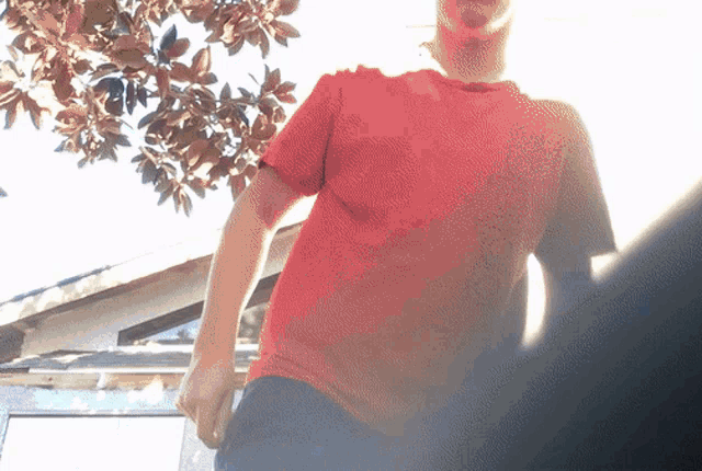 a man in a red t-shirt is standing in front of a tree