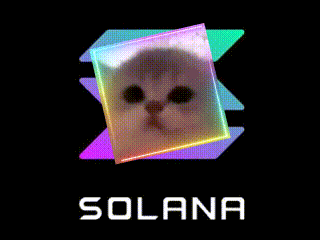 a picture of a cat in a square with the word solana below it