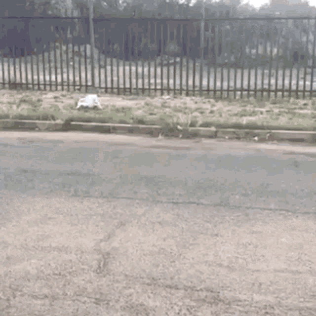 Finger Unexpected GIF - Finger Unexpected Funny GIFs