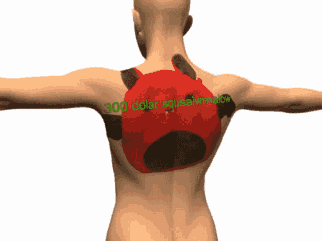 a 3d model of a man 's back with the words 300 dollar equate mellow written on it