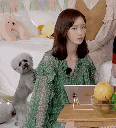 a woman in a green dress is sitting at a table with a tablet and a dog behind her .