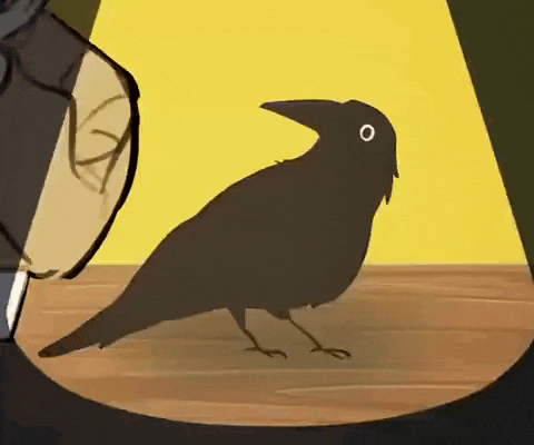 a black bird with a white eye is standing on a table