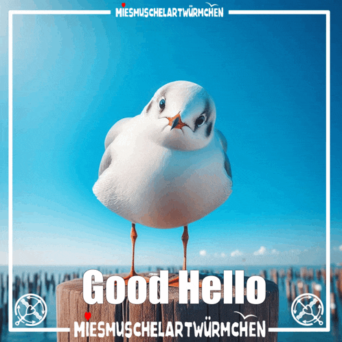 a seagull is standing on a wooden post with the words good hello on it
