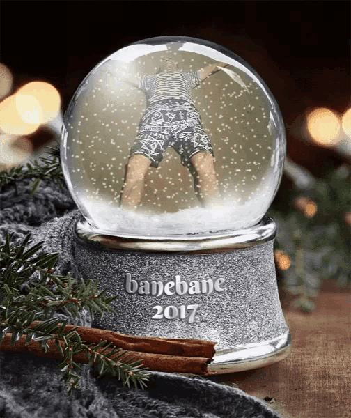 a snow globe that says banebane 2017 with a person inside
