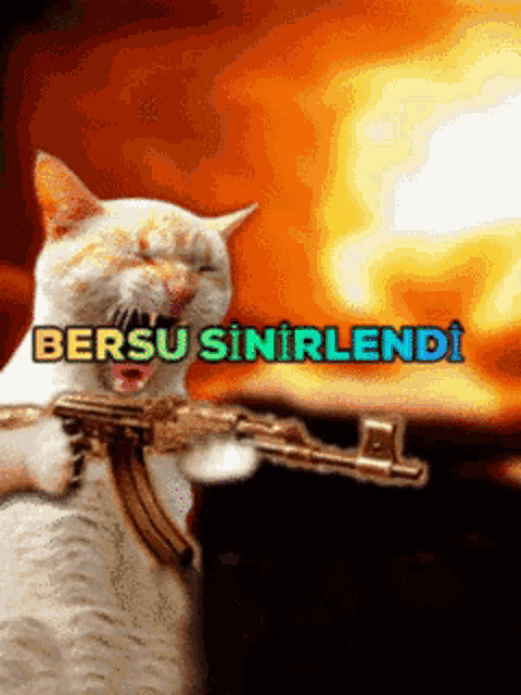 a cat holding a gun with the words " bersu sinirlendi " written above it