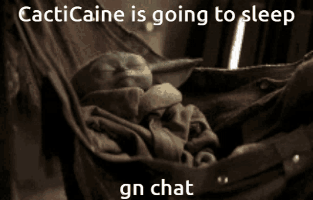 a picture of a baby in a hammock with the caption " cacticaine is going to sleep "