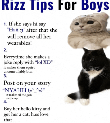 a cat with a hat on its head is on a poster with rizz tips for boys