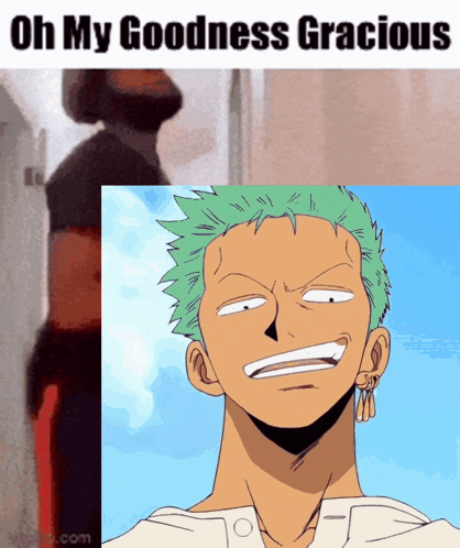 a picture of roronoa zoro with the words oh my goodness gracious