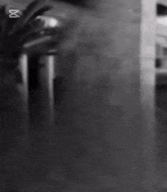 a black and white photo of a tree with the letters x ut on the bottom