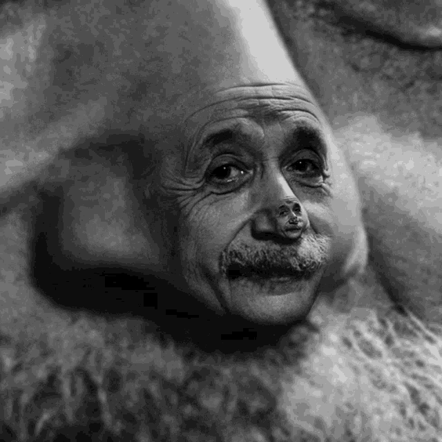 a black and white photo of albert einstein with a beard and mustache