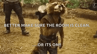 a raccoon is standing in the dirt with the words better make sure the room is clean or its on
