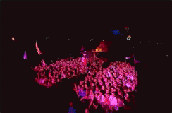 Glastonbury GIF - Crowd Concert Audience GIFs