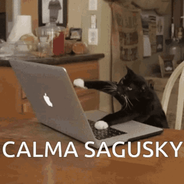 a black and white cat is playing with an apple laptop computer