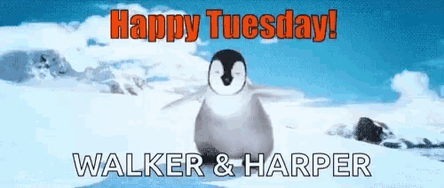 happy tuesday walker and harper with a penguin in the background