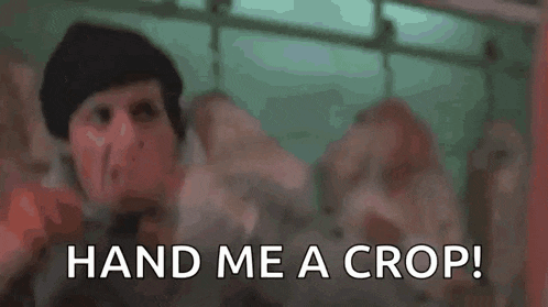 a man in a black hat is saying `` hand me a crop '' in a meat shop .