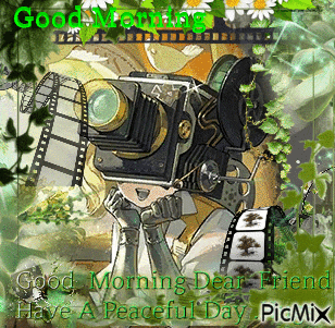 a picture of a girl with a camera on her head says good morning dear friend have a peaceful day picmix