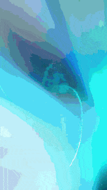 a computer generated image of a dolphin swimming in the ocean