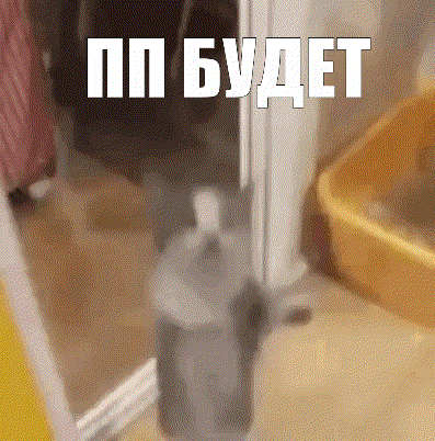 a picture of a cat with the words " pp budet " written above it