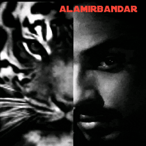 a black and white photo of a tiger and a man with the words alamirbandar on the top