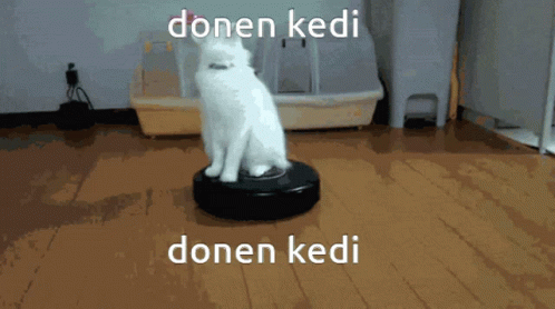 How Donen Kedi GIF - How Donen Kedi Spinning Cat GIFs