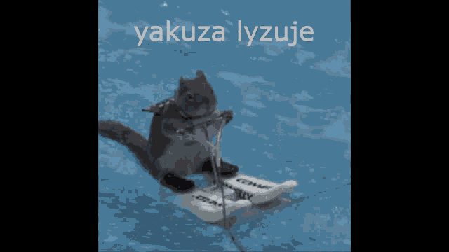 a squirrel is riding a raft in the water with the words yakuza lyzuje written above it