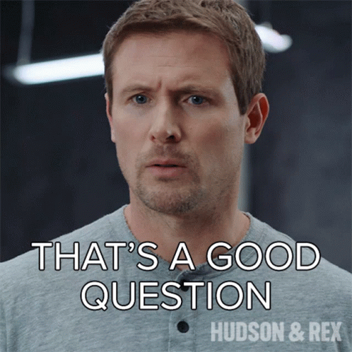 Thats A Good Question Charlie Hudson GIF - Thats A Good Question Charlie Hudson Hudson And Rex GIFs