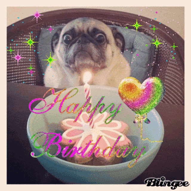 a pug dog is sitting in a chair next to a birthday cake