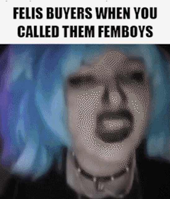 a pixelated image of a woman 's face with the words felis buyers when you called them femboys