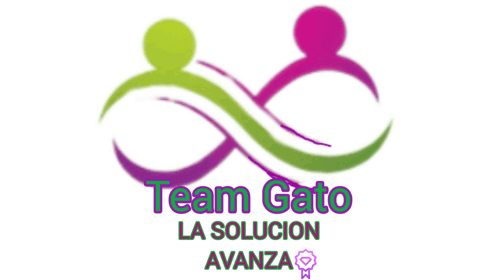 Team Gato GIF - Team Gato GIFs