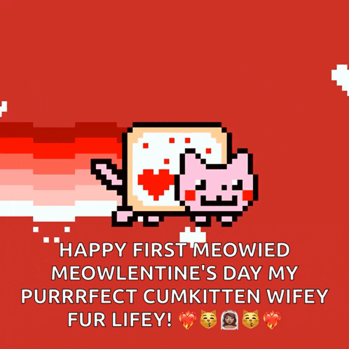 a happy first meowied meowlentine 's day message
