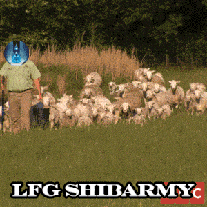 Shibarmy Shibaarmy GIF - Shibarmy Shibaarmy Shibarmystrong GIFs