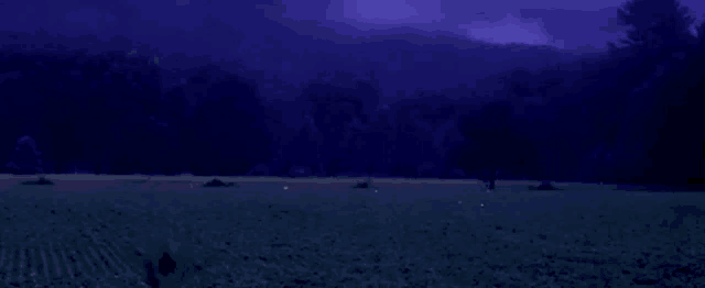 a field with a forest in the background and a purple sky