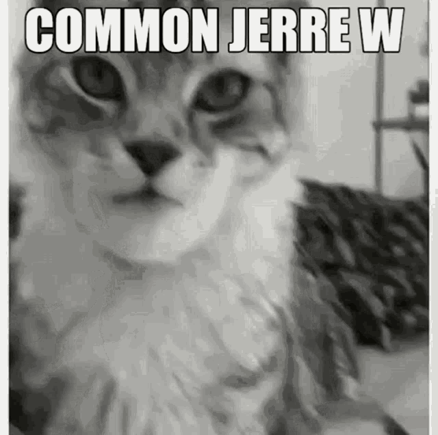 a black and white photo of a cat with a caption that says `` common jerrell w '' .