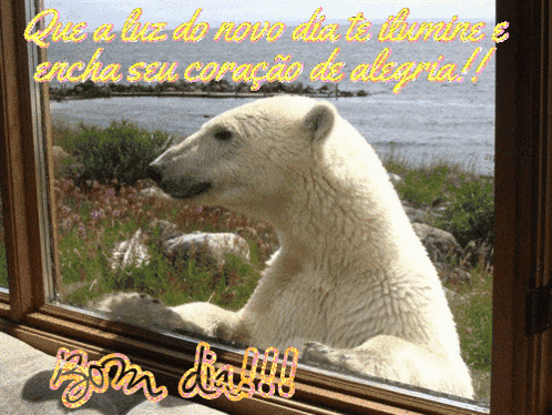 a polar bear looking out a window with a greeting in portuguese