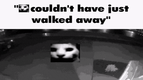 a black and white photo of a cat with the words `` couldn 't have just walked away ''