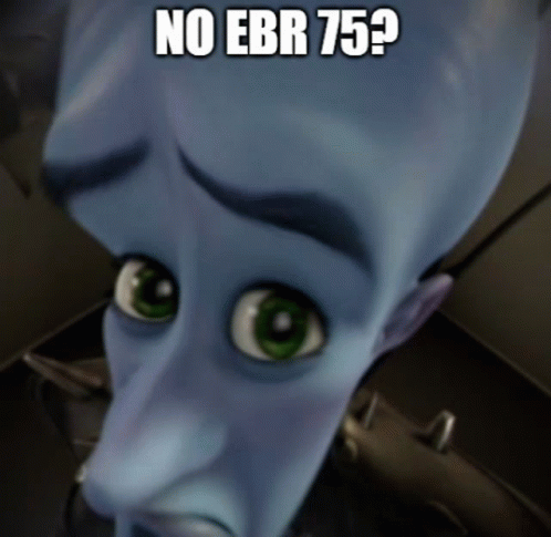Ebr75 No Ebr75 GIF - Ebr75 No Ebr75 Megamind Ebr GIFs