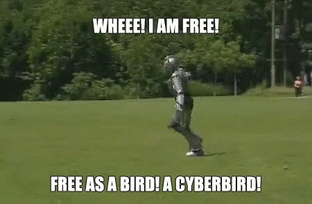 Cyberbird GIF - Whee Imfree Cyberbird GIFs