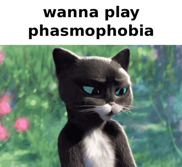 Softpaws Kitty GIF - Softpaws Kitty Phasmophobia GIFs