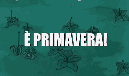 a green background with white flowers and the words e primavera !