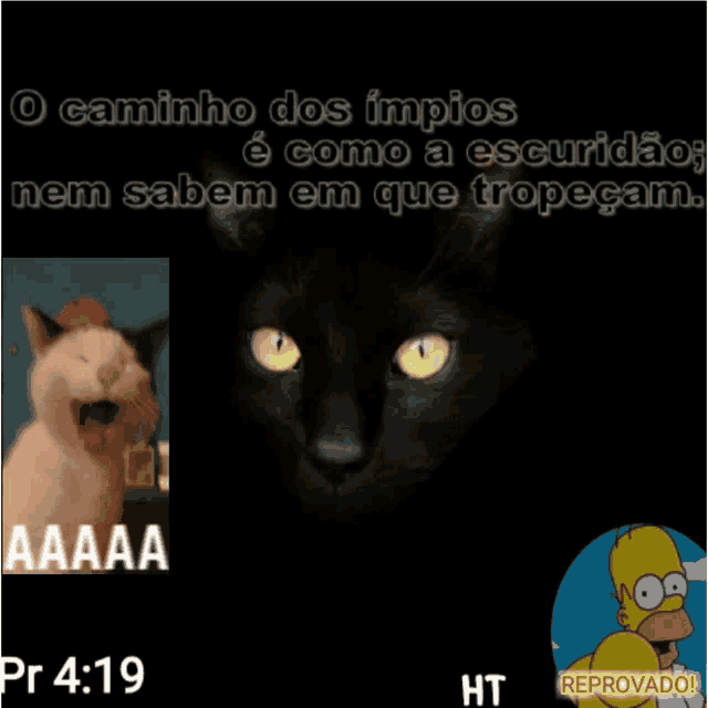 a black cat with yellow eyes is next to a cartoon character