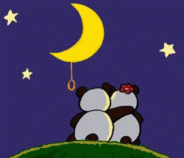 Pandas In Love Turn Off The Moon GIF - Pandas In Love Turn Off The Moon Many Kisses GIFs