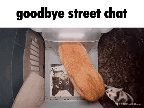 a picture of two cats with the words goodbye street chat below them