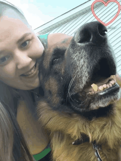 a woman hugs a german shepherd with a red heart above its nose
