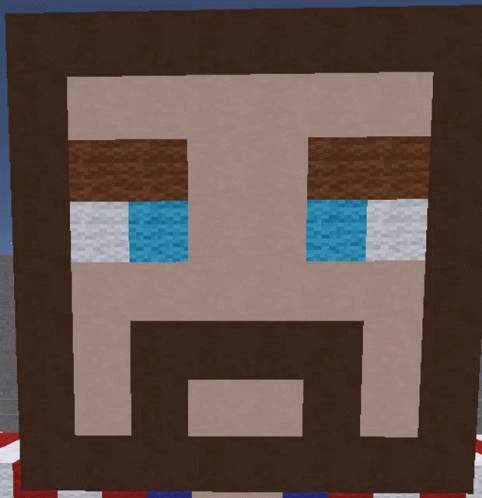 Ovi Minecraft GIF - Ovi Minecraft Head GIFs
