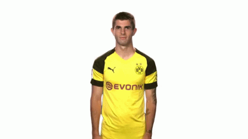 Bvb Dortmund GIF - Bvb Dortmund Pulisic GIFs