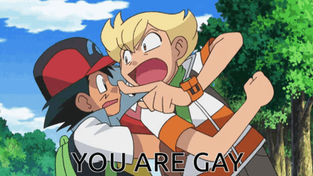 two cartoon characters are fighting with the words " you are gay " in the corner