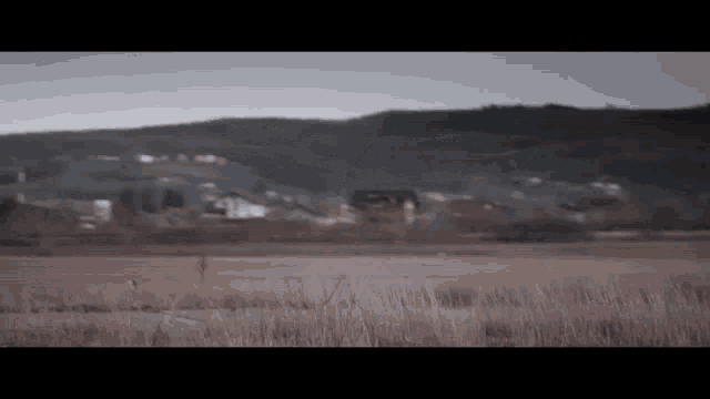 a blurred picture of a field with a mountain in the background